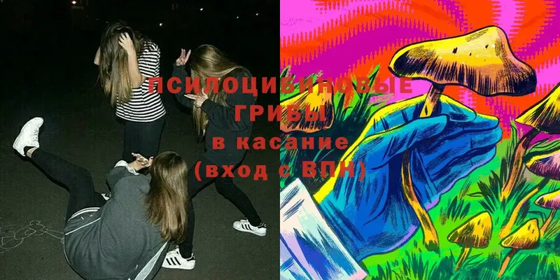 Псилоцибиновые грибы ЛСД Каменка